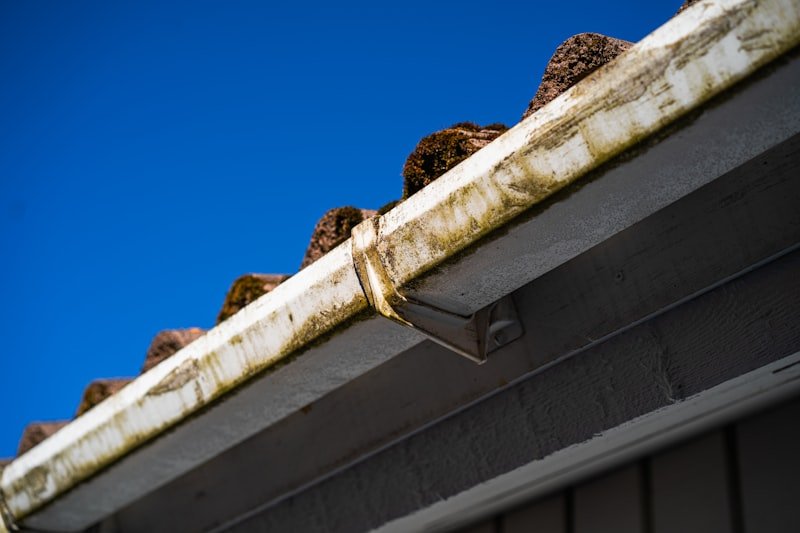 Gutter Services